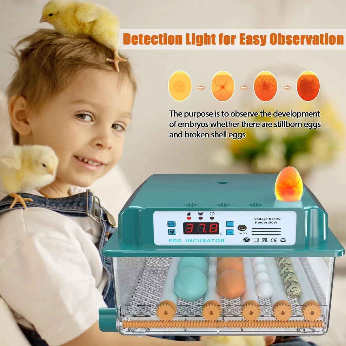 Incubatrice per Uova Automatica Incubatrice per 16 Uova Gallina Controllo Automatico della Temperatura Giratura Automatica delle Uova Design Elettrico Doppio (UK plug)