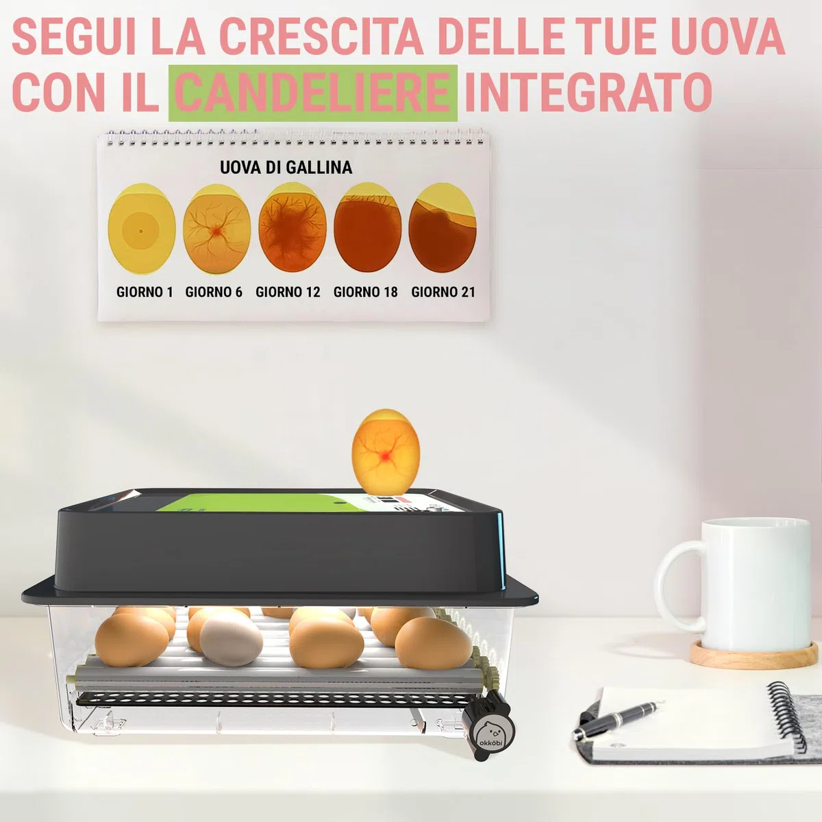 OBI-36 Incubatrice 36 uova per galline, papere e altri + NUOVE 2024 + Rotazione automatica + Controllo Temperatura + Indicatore Umidità + Candela per uova integrata + GARANZIA 5 ANNI