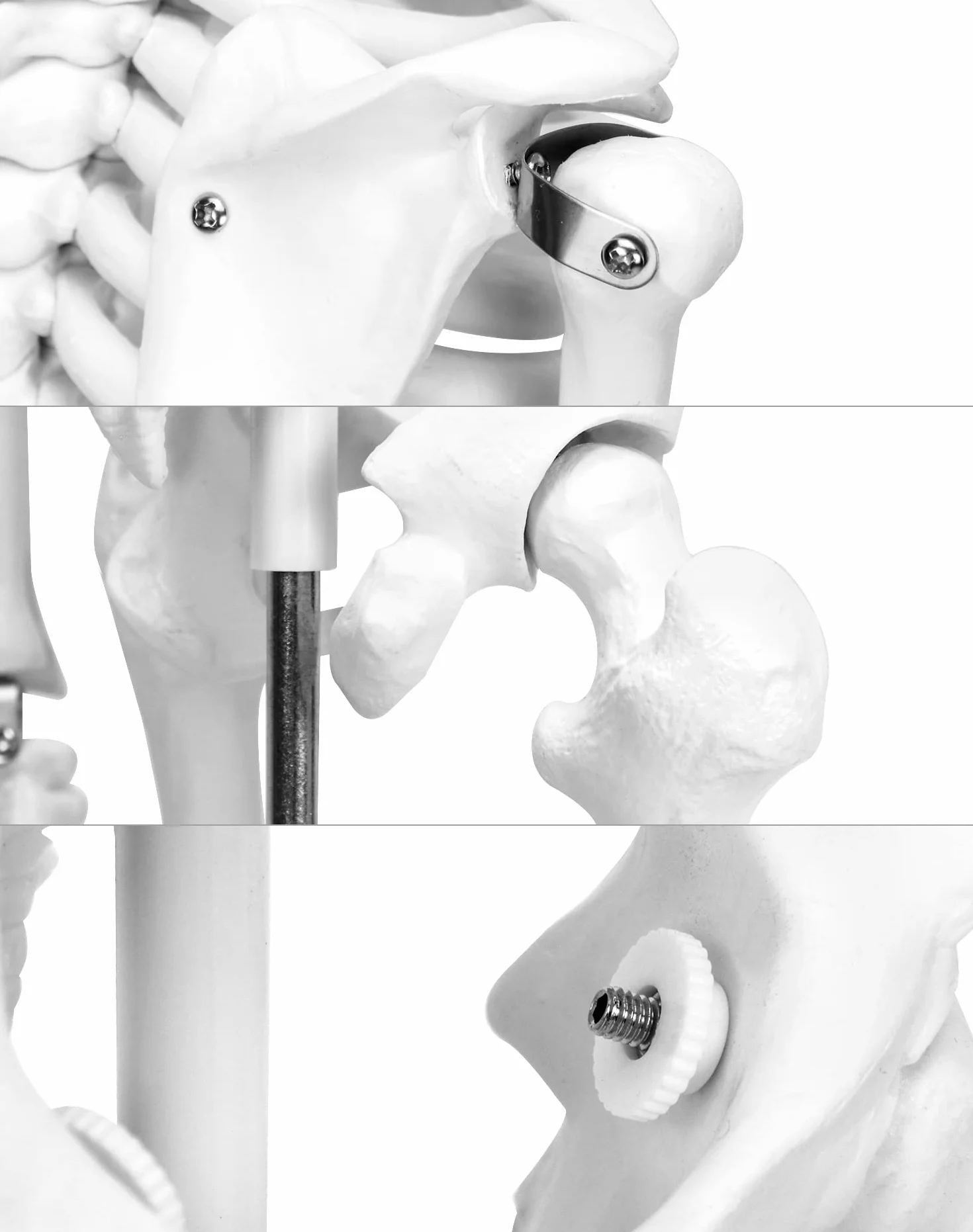 QWORK® Modello Anatomico Scheletro Umano, 85 cm, Flessibile, Per Strumento di Visualizzazione dell'Insegnamento