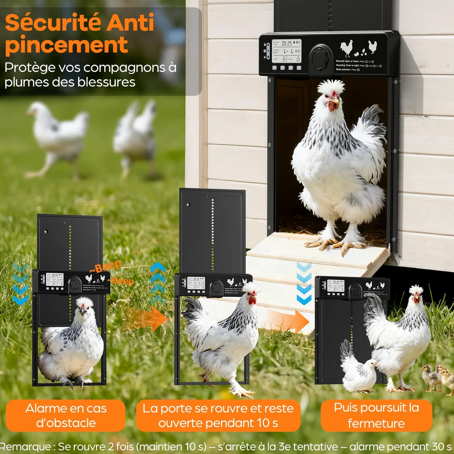 CHAMUTY Grande Porta Pollaio Automatico Solare con Sensore Luminosità, Alluminio Porta Automatica Pollaio Elettrico con Telecomando, Timer Funzione Anti-Pizzico