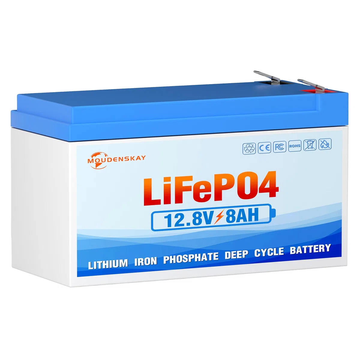 Batteria al litio LiFePO4 12V 8Ah al litio e al fosfato con oltre 3000 volte cicli profondi e protezione BMS,per illuminazione di emergenza,campeggio,impianti di alimentazione