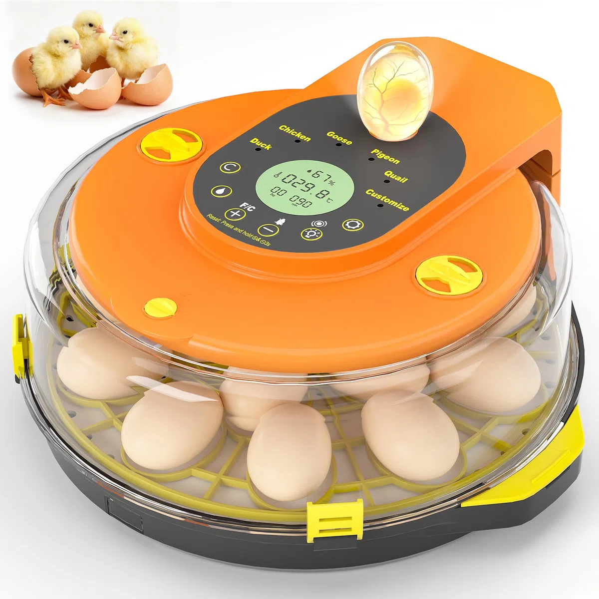 Incubatrice per Uova Automatica, Diealles Shine Incubatrice per Uova 15 con Tornitura Automatica delle Uova e Umidificazione Automatica, Incubators con Controllo della Temperatura