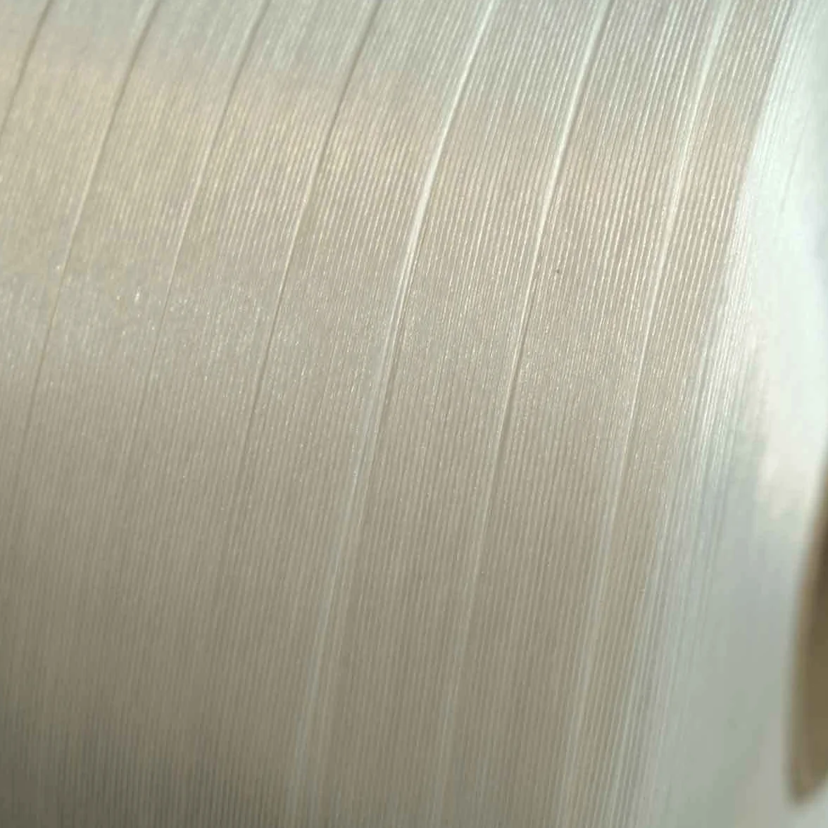 Reggia Tessile Filo a filo 13 mm x 1100 m - Qualità PRO TECPLAST FF - Alta resistenza 375 kg - Reggia con fili incollati