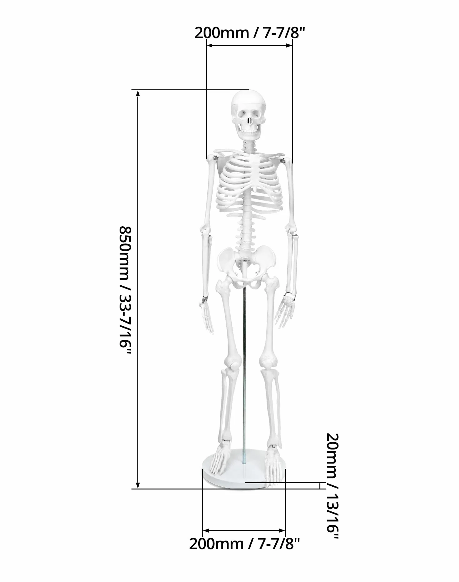 QWORK® Modello Anatomico Scheletro Umano, 85 cm, Flessibile, Per Strumento di Visualizzazione dell'Insegnamento