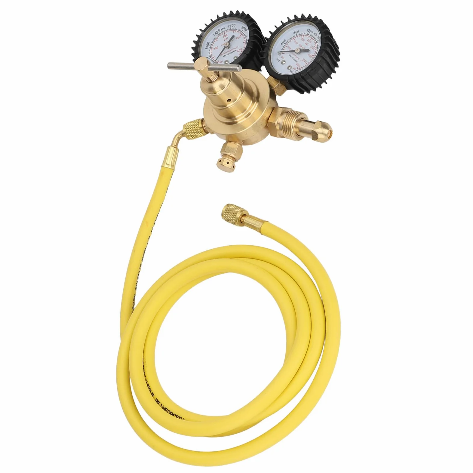 Regolatore di Azoto, Manometri di Connessione Ingresso Uscita in Ottone, 0-600 PSI con Tubo del Gas 2 M, Alta Pressione 4000 Psi/28000 KPa, Bassa Pressione 600 Psi/4200 KPa