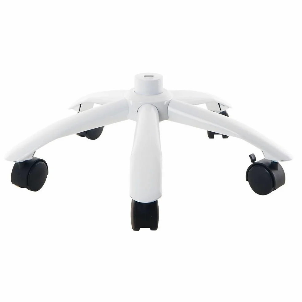 3B Scientific Base in metallo 3B Scientific con 5 rotelle [XA031], Compatibile con tutti gli Scheletri 3B e le Figure con muscoli 3B, Piede in metallo per cavalletto per scheletro
