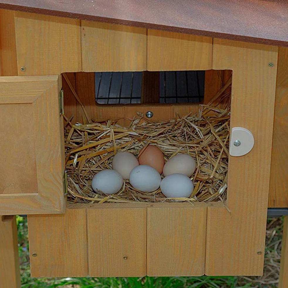 Ferplast Pollaio Casetta per polli Galline ovaiole HEN HOUSE 30 da esterno, in legno FSC, per circa 6 galline, Accessori inclusi