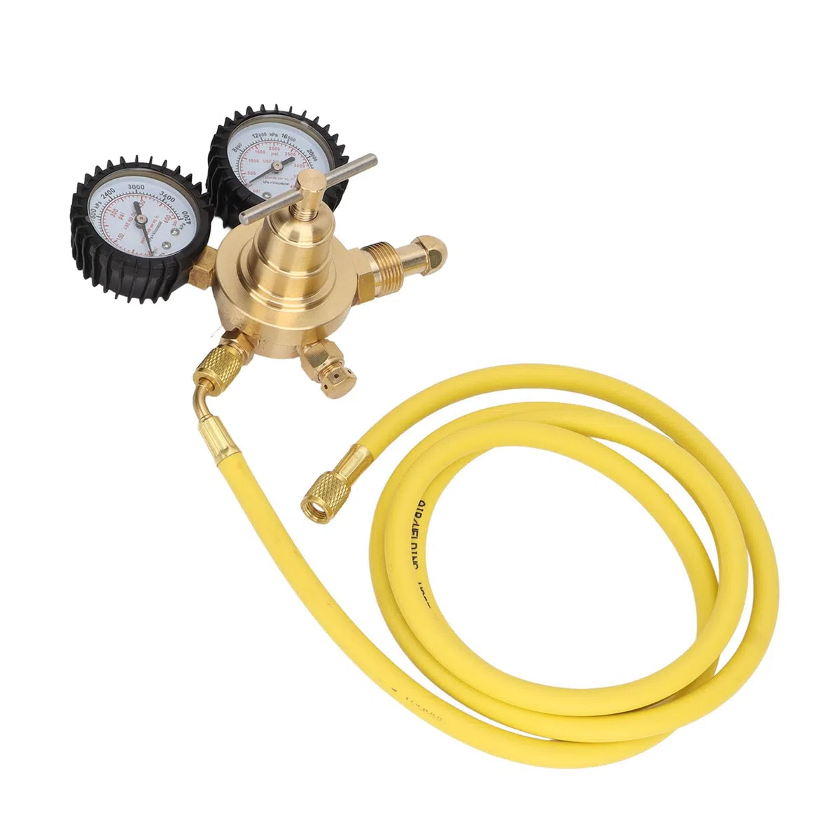 Regolatore di Azoto, Manometri di Connessione Ingresso Uscita in Ottone, 0-600 PSI con Tubo del Gas 2 M, Alta Pressione 4000 Psi/28000 KPa, Bassa Pressione 600 Psi/4200 KPa