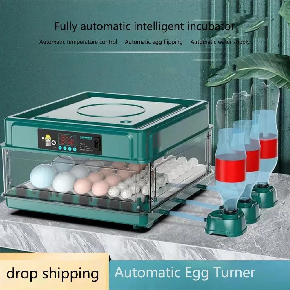 Incubatrice per uova di gallina, incubatrice automatica da 10/16/24/36 uova, incubatrice per uova con controllo della temperatura, aggiunta automatica dell'acqua, rivoltatore automatico delle uova (24