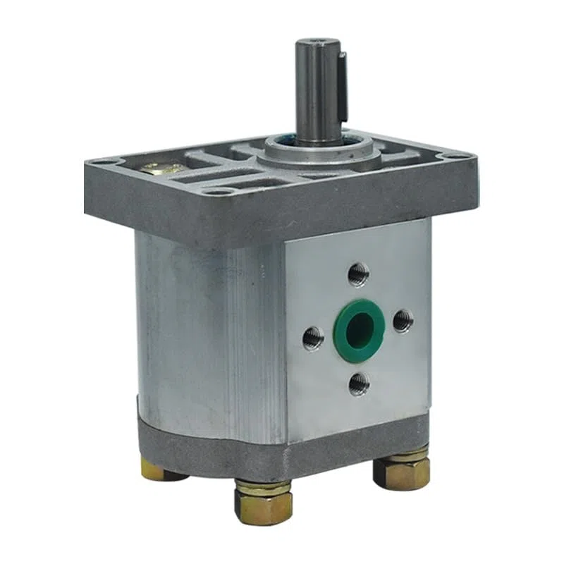 pompa idraulica a ingranaggi, pompa dell'olio idraulico, utilizzata nei settori dell'energia elettrica e chimico (Flat end-Right-hand,CBN-F304)