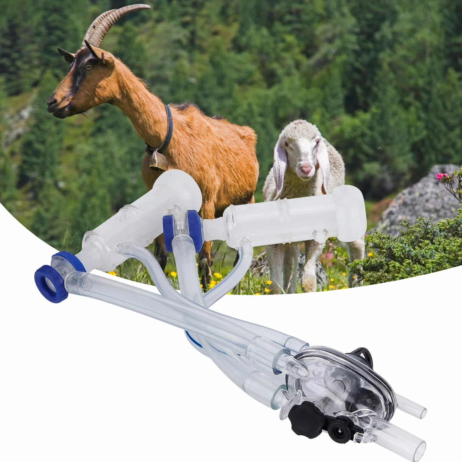 Voluxe Gruppi di mungitura delle Pecore, collettore del Latte della Tazza del capezzolo di mungitura per i Pezzi di Ricambio della Macchina della mungitrice