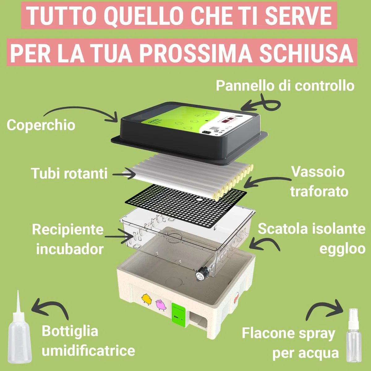 OBI-36 Incubatrice 36 uova per galline, papere e altri + NUOVE 2024 + Rotazione automatica + Controllo Temperatura + Indicatore Umidità + Candela per uova integrata + GARANZIA 5 ANNI