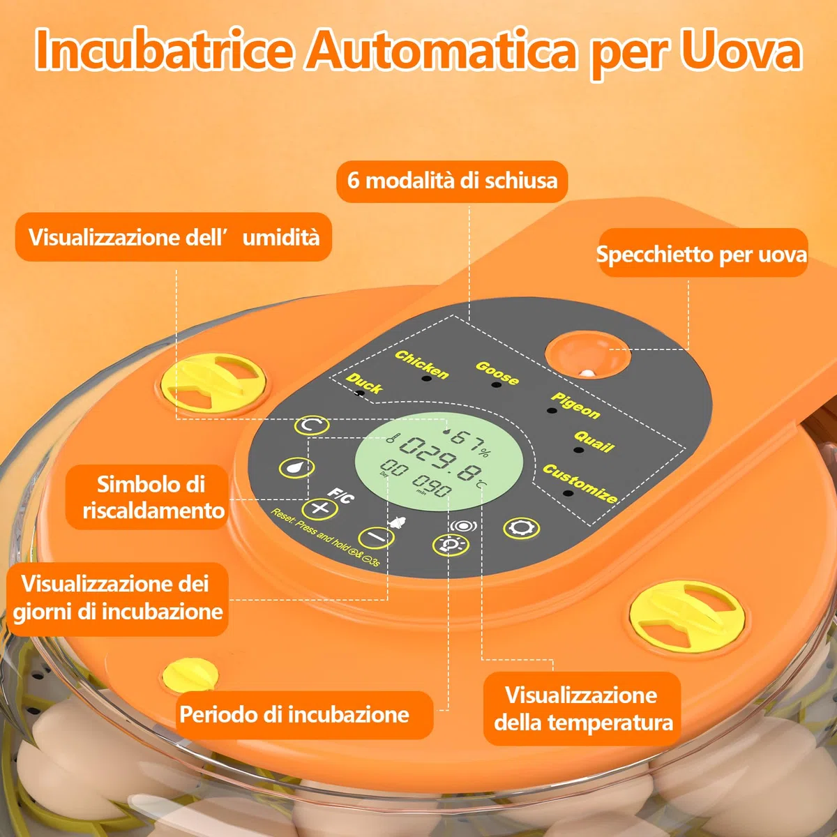 Incubatrice per Uova Automatica, Diealles Shine Incubatrice per Uova 15 con Tornitura Automatica delle Uova e Umidificazione Automatica, Incubators con Controllo della Temperatura