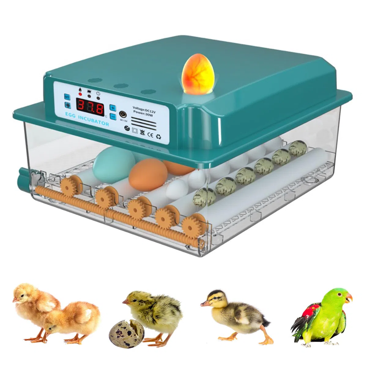 Incubatrice per Uova Automatica Incubatrice per 16 Uova Gallina Controllo Automatico della Temperatura Giratura Automatica delle Uova Design Elettrico Doppio (UK plug)