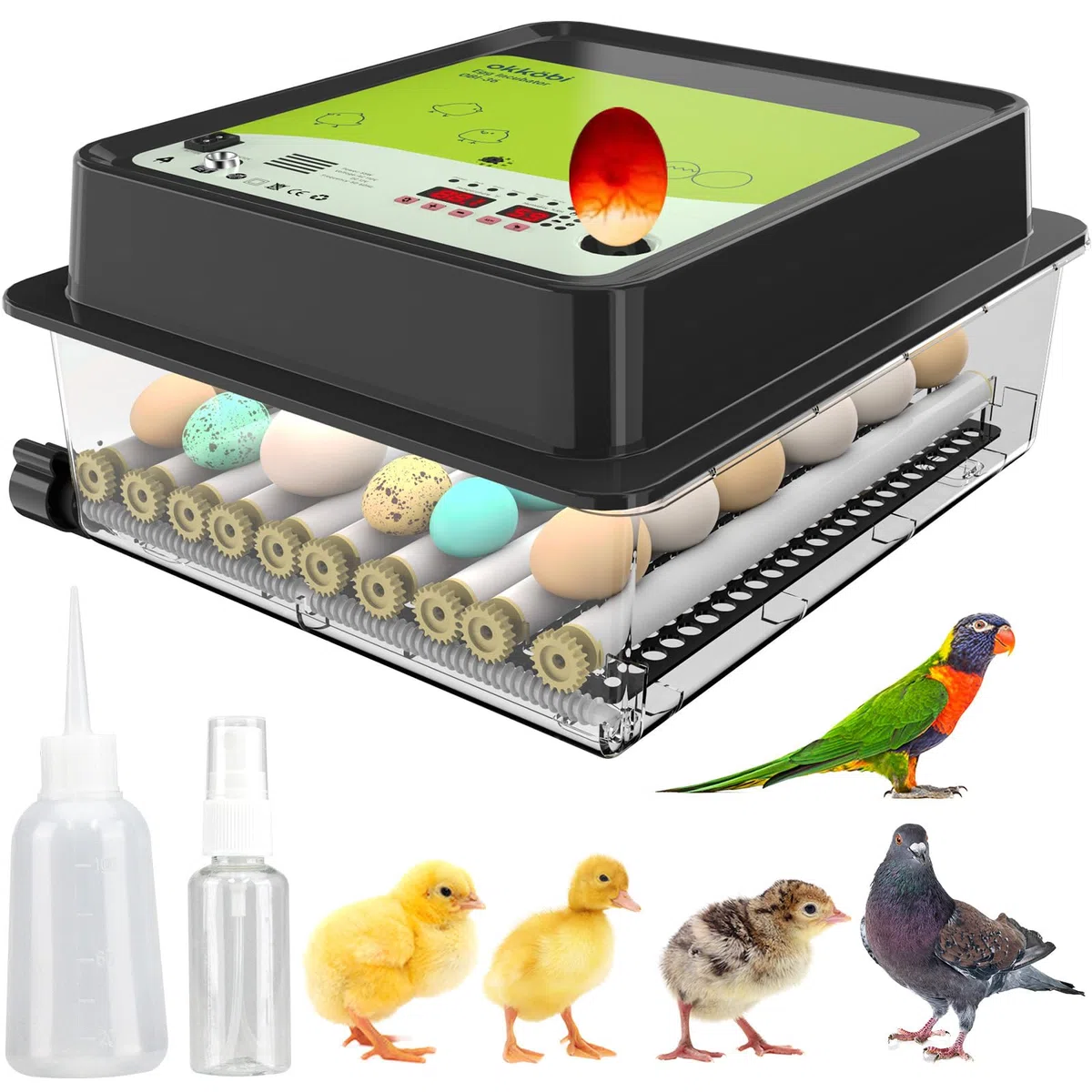 OBI-36 Incubatrice 36 uova per galline, papere e altri + NUOVE 2024 + Rotazione automatica + Controllo Temperatura + Indicatore Umidità + Candela per uova integrata + GARANZIA 5 ANNI