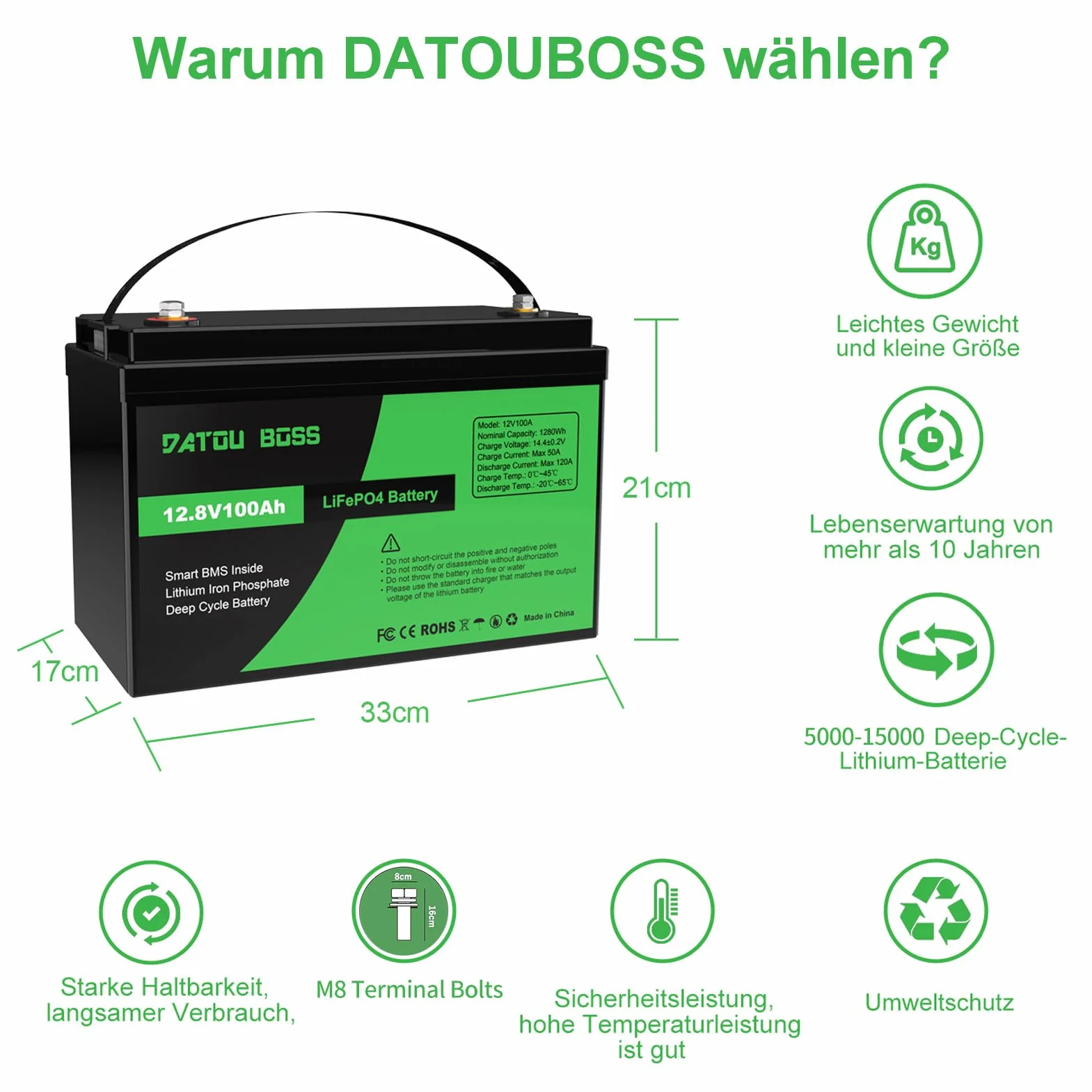 DATOUBOSS LiFePO4 Batteria Litio 12v 100Ah con 100A Protezione BMS, Fino a 15000 Cicli e 10 Anni Di Durata, per Camper, Barca, Kit di Pannelli Solari, Campeggio, Casa