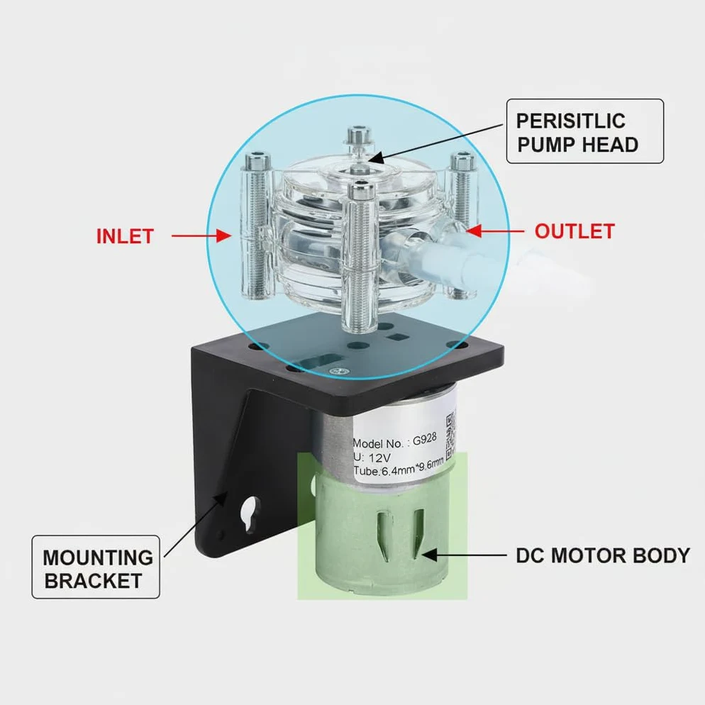 Pompa dosatrice resistente, Pompe e filtri Accessori per pompe d'aria alla corrosione della pompa peristaltica di grande portata 500mL/min[12V]