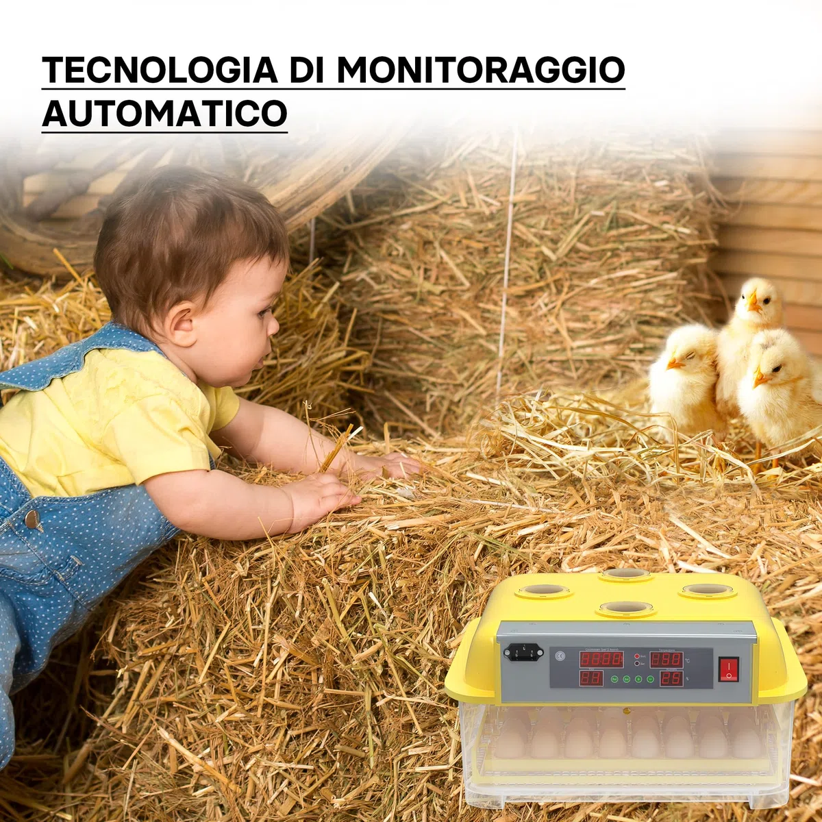 Wiltec Incubatrice automatica per 48 uova, con regolazione temperatura e umidità, Covatrice