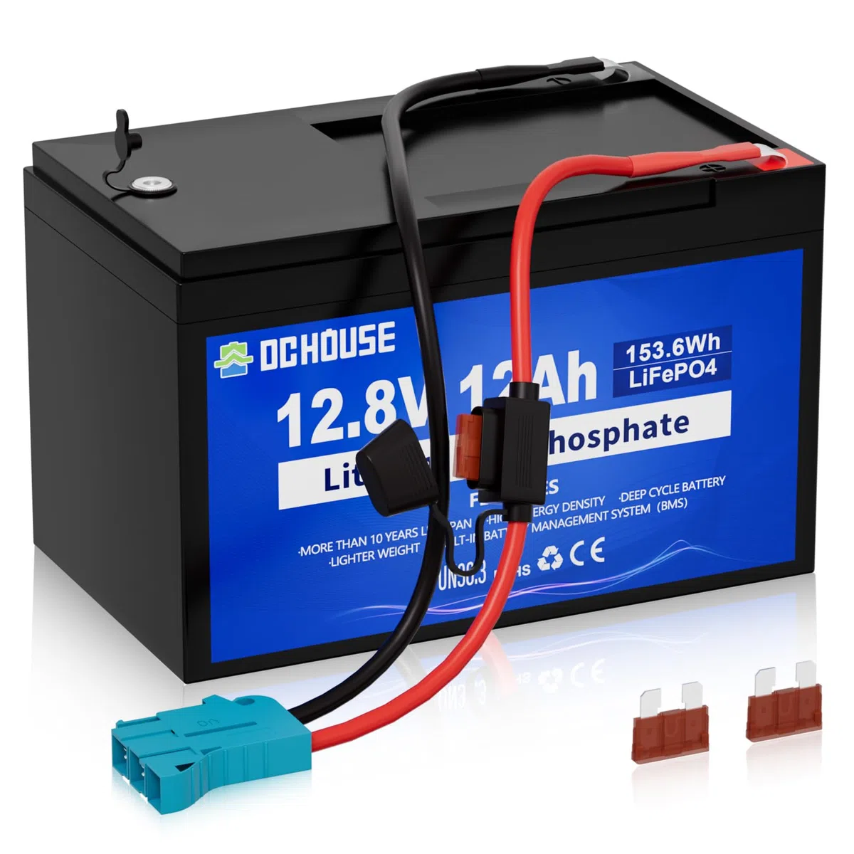 DCHOUSE Batteria Litio 12V 12Ah, Max.15000 Cicli e Con Protezione 15A BMS, 10 Anni di Vita, Ricaricabile Batteria LiFePo4 12V Per UPS, il Giro sul Giocattolo, Passeggino, Pannello Solare, Campeggio