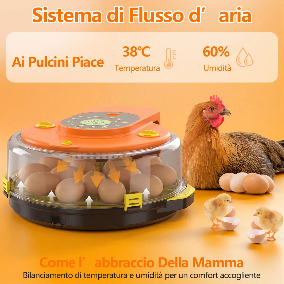 Incubatrice per Uova Automatica, Diealles Shine Incubatrice per Uova 15 con Tornitura Automatica delle Uova e Umidificazione Automatica, Incubators con Controllo della Temperatura