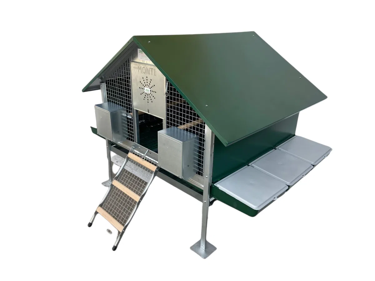 Pollaio Procida per ca. 12 Galline. Casetta Interamente Zincata con Pareti Laterali Chiuse, Tetto Zincato e Verniciato di Verde, Rete Antintrusione Zincata. Ingombro Max cm 160 x 120 x H 120
